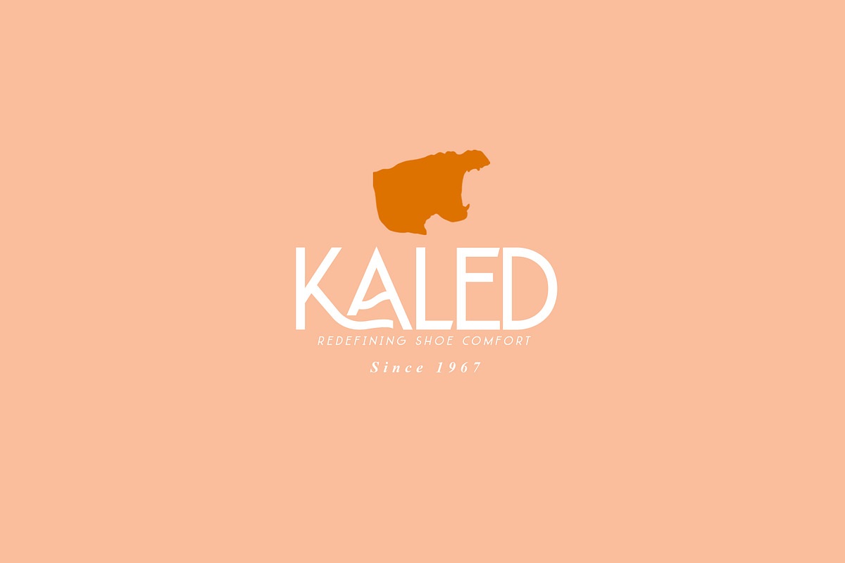 Laquatsa | Modern Sans Serif, a Sans Serif Font by Ryn Pojas (Photo 5 of 11)