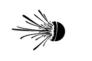 Cartoon Bomb Blast Silhouette, a Graphic by hafijul (Thumbnail 14 of 14)