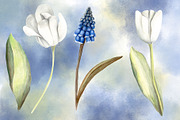 Spring Blossom Watercolor Flowers, an Illustration by Sha1nee (Thumbnail 2 of 4)