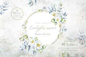 Eucalyptus essence Frames set