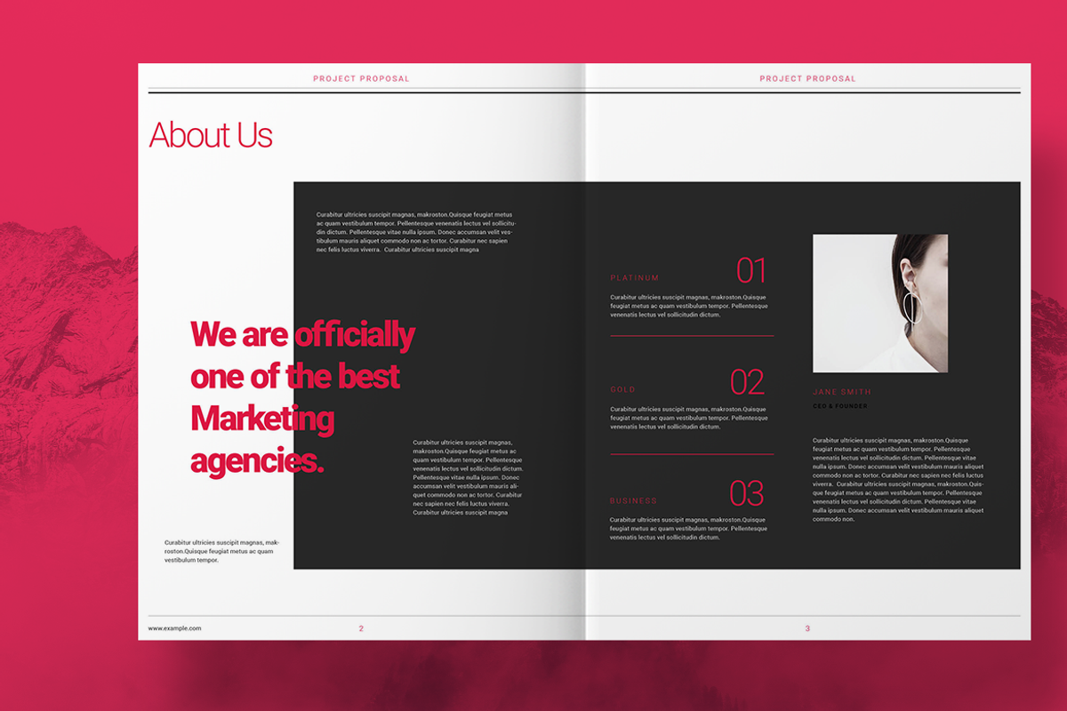 Red Project Proposal, a Brochure Template by Boris Cupac (Photo 2 of 12)