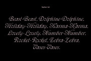 ED Phoebe, a Serif Font by Emyself Design (Thumbnail 5 of 12)