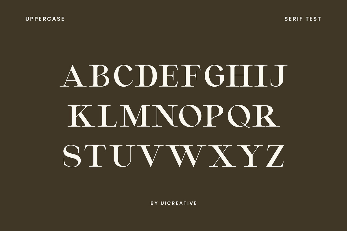 Montvolca Elegant Serif Font, a Serif Font by UICreative (Photo 7 of 11)