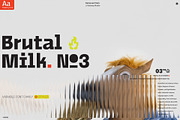 Brutal Milk No 3 - Display 9 Fonts, a Sans Serif Font by Casloop Studio (Thumbnail 1 of 7)