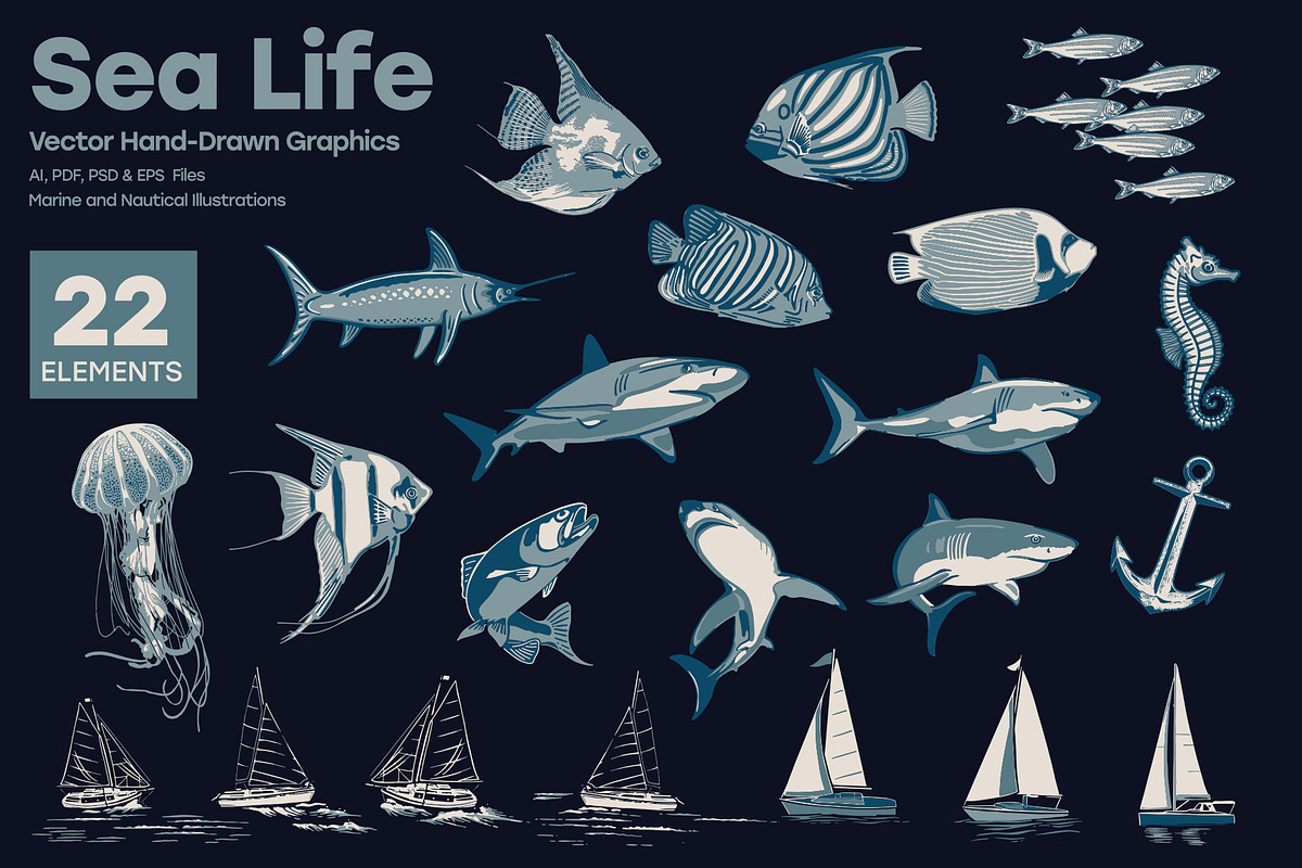 Sea Life - Marine and Nautical, an Illustration by Sault Design (Photo 1 of 3)