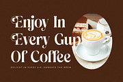 Copeland New Modern Serif Font, a Serif Font by Storytype Studio (Thumbnail 11 of 15)