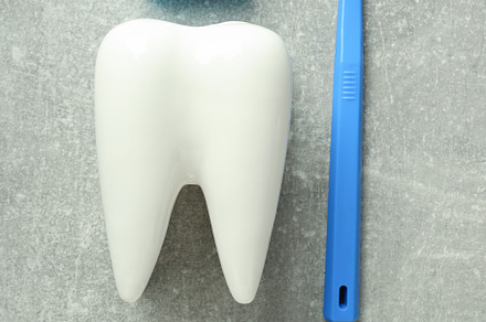 Concept of tooth treatment and dental care, top view, a Health & Medical Photo by AtlasStudio PRO