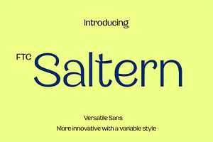 Saltern - Versatile Sans