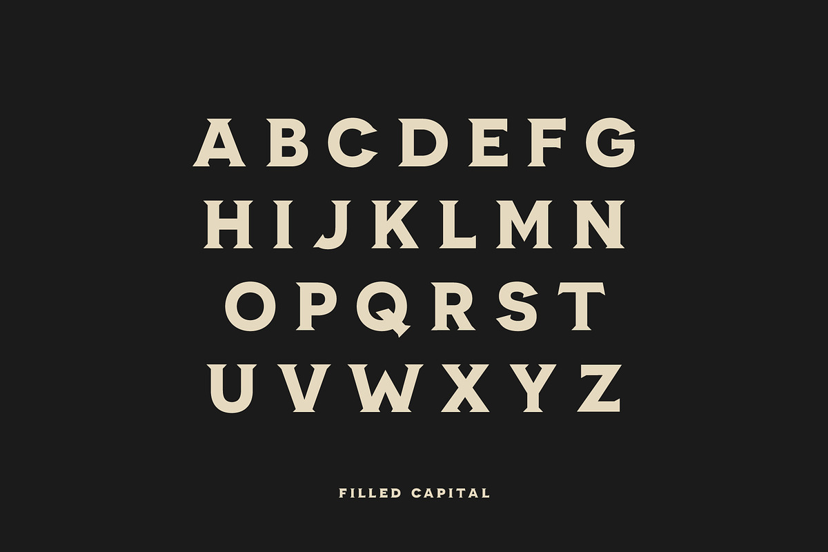 American Mortar -Vintage Font Family, a Serif Font by Creative Type (Photo 5 of 10)