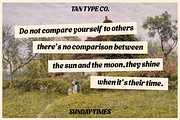 TAN - SUNDAY TIMES, a Serif Font by TanType (Thumbnail 2 of 9)