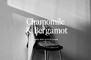Seravelle Elegant Serif, a Serif Font by RT Studio (Thumbnail 2 of 12)
