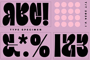 Display Font Collection, a Slab Serif Font by Tropical Type (Thumbnail 22 of 46)