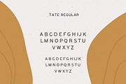 Tate Font, a Sans Serif Font by Nomad Visuals (Thumbnail 3 of 6)
