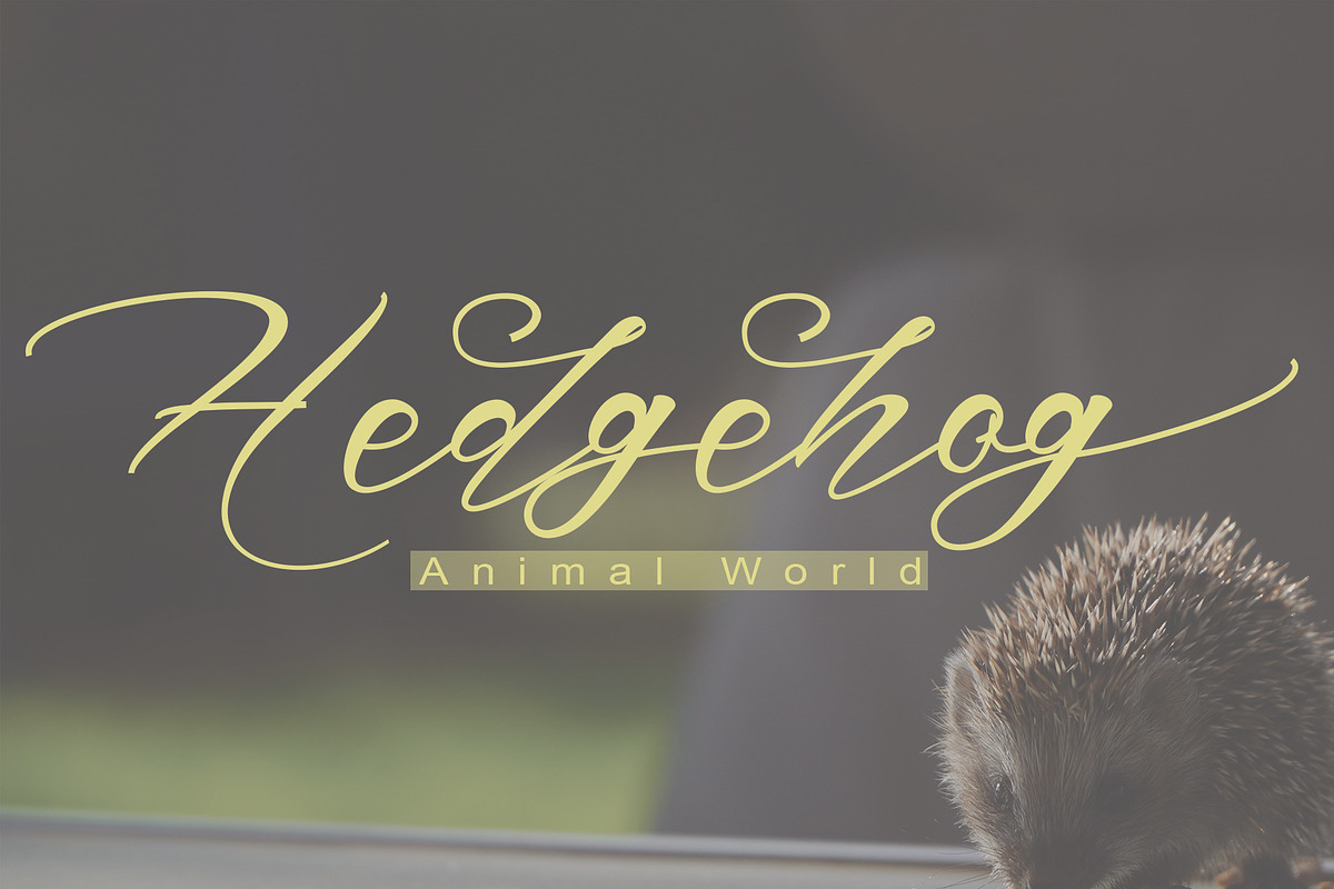 Marsellino, a Script Font by PollemSt (Photo 3 of 8)