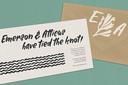 Alinka Brush Font, a Sans Serif Font by Magpie Paper Works (Thumbnail 9 of 11)
