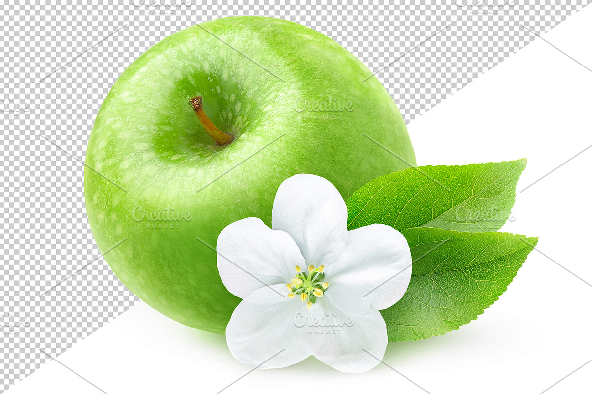 Isolated red apple and apple blossom, an Object Graphic by Fruits+Veggies (Photo 3 of 4)