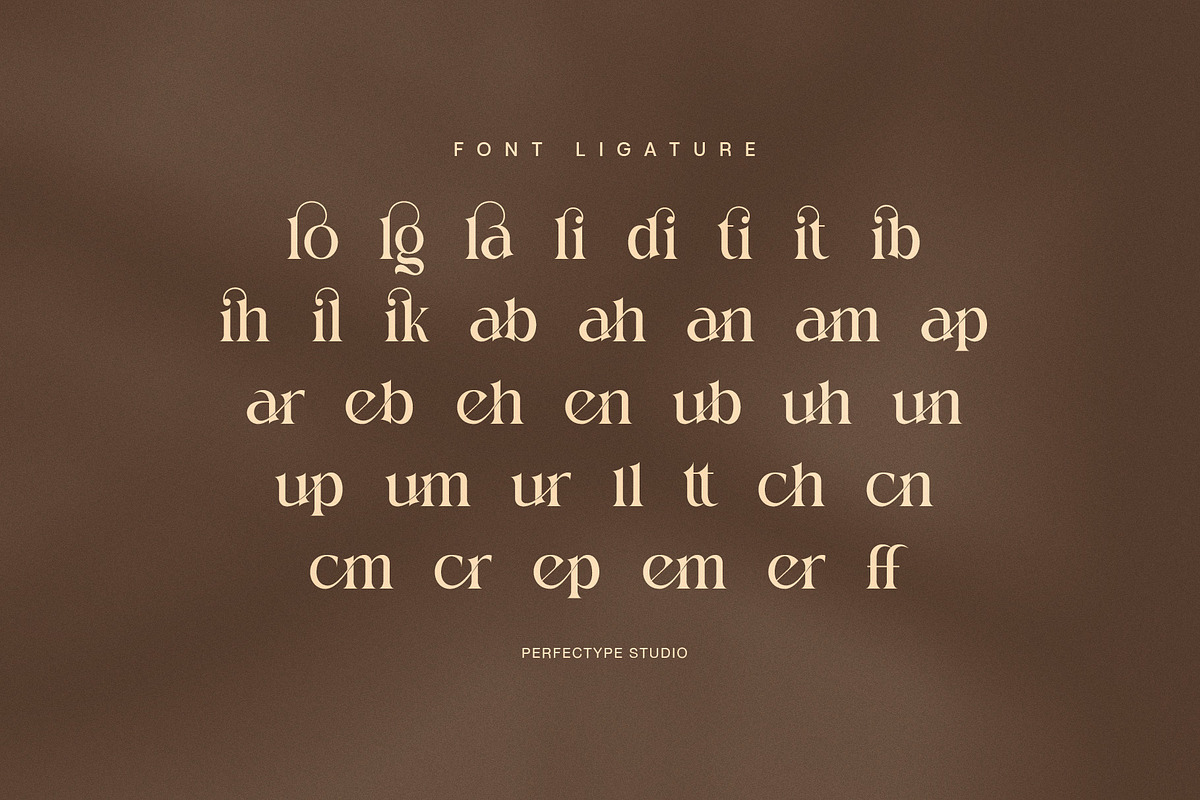 Molgin Elegant Serif Font, a Serif Font by Perfectype (Photo 8 of 8)