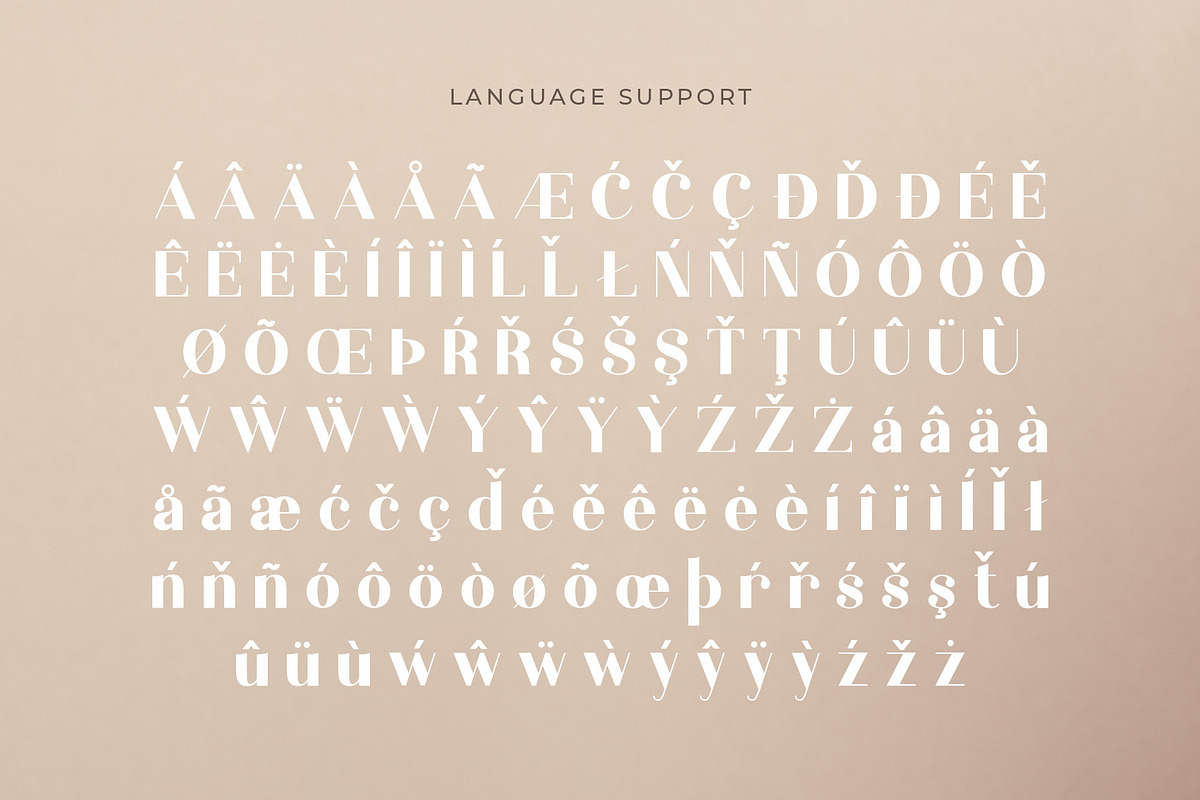 Elouise - Elegant Serif Font preview 4