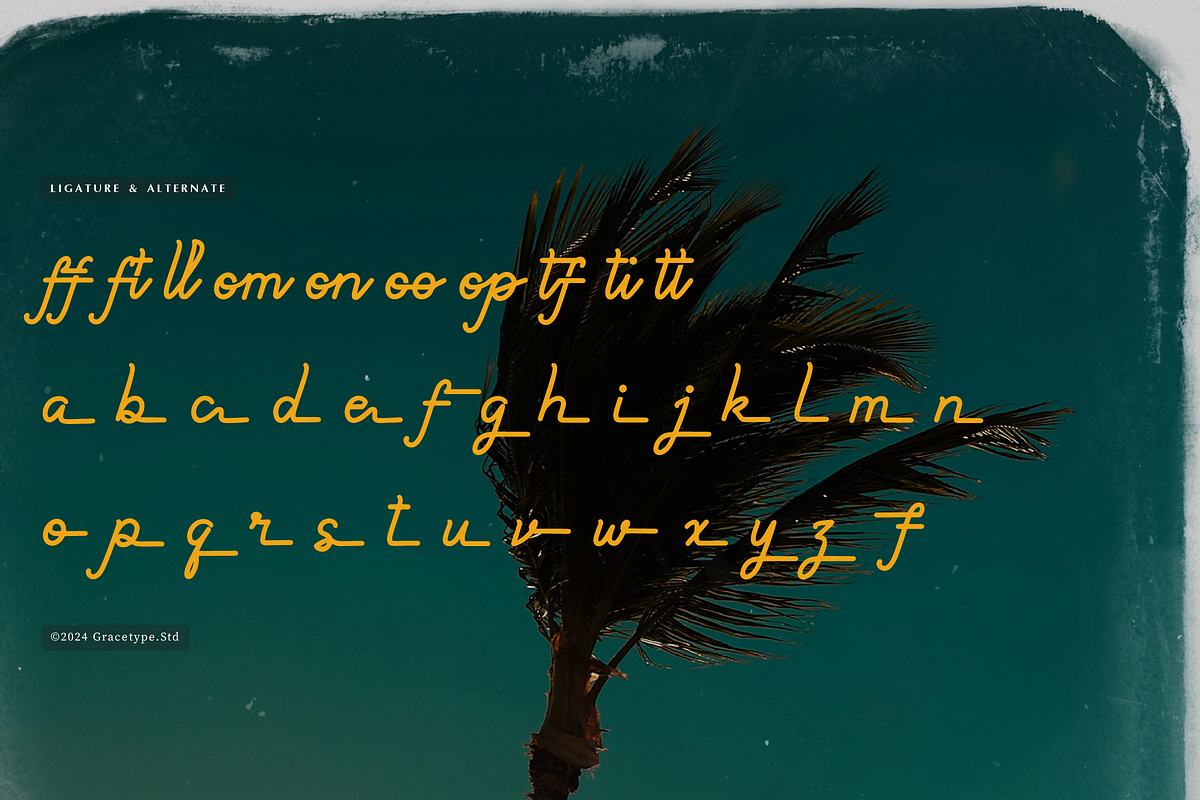 Paradise Gallaiso | Monoline Script, a Script Font by gracetype_studio (Photo 11 of 12)