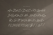 Theyladia | Handwritten Script, a Script Font by gracetype_studio (Thumbnail 10 of 12)