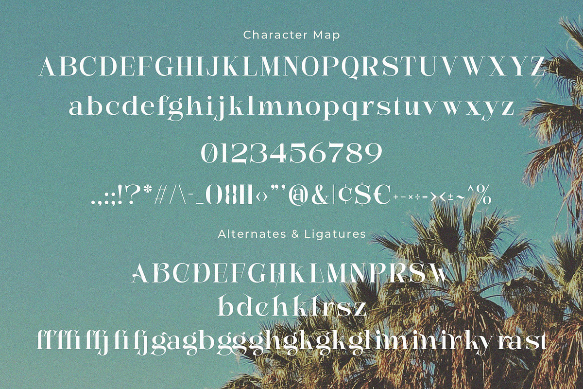 Hemidle - Modern Display Serif, a Serif Font by Jimoji (Photo 10 of 11)