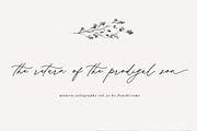 Hermitage Modern Calligraphy font, a Script Font by PeachCreme (Thumbnail 3 of 11)