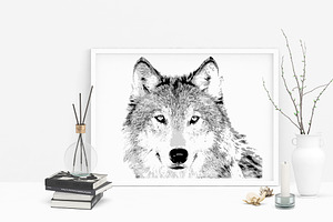 Hand drawn wild Wolf