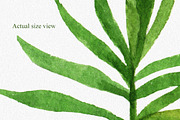 Watercolor Tropical Leaves, a Decorative Illustration by Chelovector (Thumbnail 5 of 5)