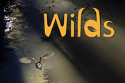 Revolt, a Script Font by khalwa.studio (Thumbnail 4 of 5)