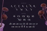 Karena – Elegant Serif Font Family, a Serif Font by Krismagraph (Thumbnail 8 of 13)