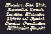 Maculinc | Script Fonts, a Script Font by Maculinc Type (Thumbnail 4 of 10)