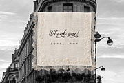 Vintage Lace, Bows & Pearls, an Object Graphic by Lana Elanor (Thumbnail 12 of 12)