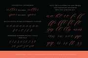 Zoxi, a Calligraphy Script Font, a Script Font by Up Up Creative (Thumbnail 4 of 8)