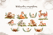 Watercolor Forest Little Animals set, an Animal Illustration by Alamella (Thumbnail 6 of 17)