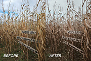 15 Moody Fall Lightroom Presets, a Preset Add-On by TheWayfarerShoppe (Thumbnail 3 of 9)