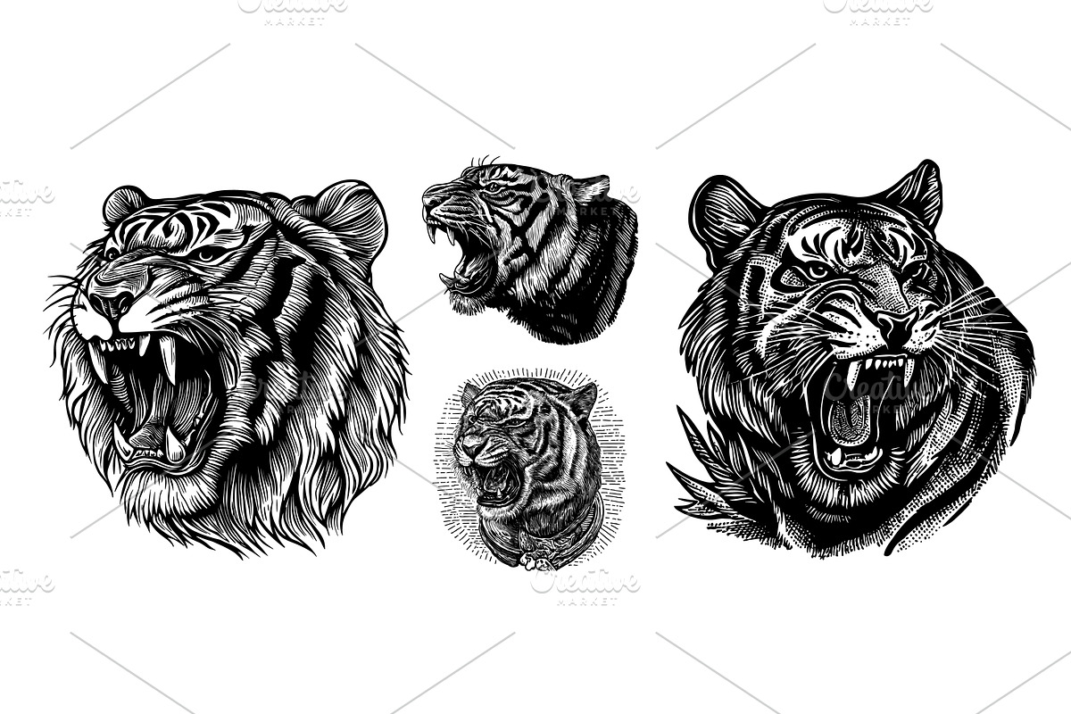 Tigers engraving monochrome set, an Animal Illustration by Stock-Smart-Start