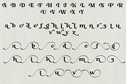 Pelank – Serif Font, a Serif Font by NDNL Studio (Thumbnail 11 of 11)