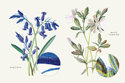 Vintage Flowers Vol.03 - Extra Large, an Illustration by Greta Ivy (Thumbnail 12 of 15)