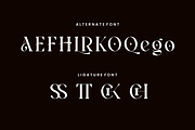 Atfagis - Modern Serif Font, a Serif Font by QR Design Studio (Thumbnail 8 of 14)