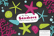 Seashells Clipart in Bohemian, an Illustration by Amanda Ilkov (Thumbnail 3 of 5)