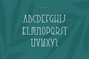 Vitanala | Elegant Serif Font, a Serif Font by Bewalrus Studio (Thumbnail 3 of 7)