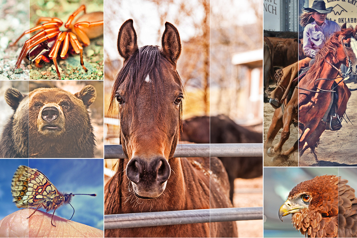 (SALE 85%) 50 HDR Actions Bundle preview 4