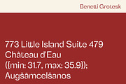 Benetti Grotesk, a Sans Serif Font by Craft Supply Co. (Thumbnail 5 of 8)