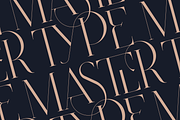 SALE! Type Master - serif font, a Serif Font by VP Fonts (Thumbnail 21 of 24)