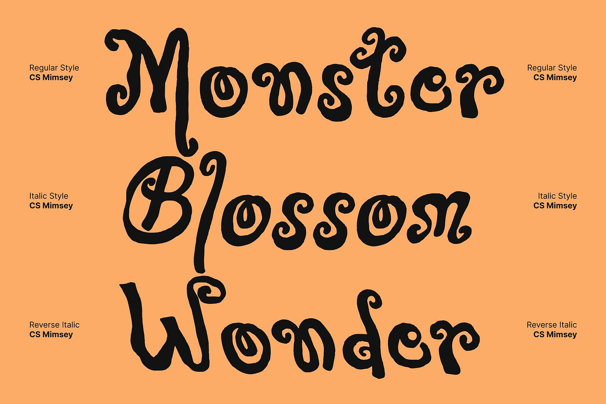 CS Mimsey – Decorative Font, a Handwritten Font by Craft Supply Co. (Photo 3 of 8)
