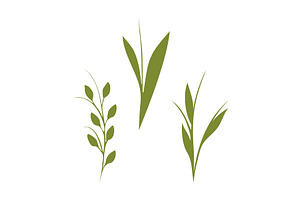 Green plant stems trio set minimal, an Object Illustration by okskukuruza