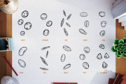 Agriculture plants, a Food Illustration by CGterminal (Thumbnail 5 of 5)