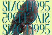 Balliome Modern Serif Typeface, a Serif Font by timelesstype.co (Thumbnail 6 of 20)