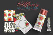 Wildflowers Australian Design Set, an Illustration by Sketchbook Designs (Thumbnail 8 of 11)