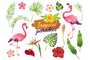 Tropical Flamingos. Pink Flamingo